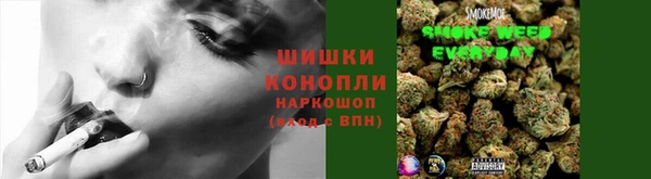 хмурый Каменка