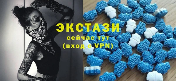 хмурый Каменка