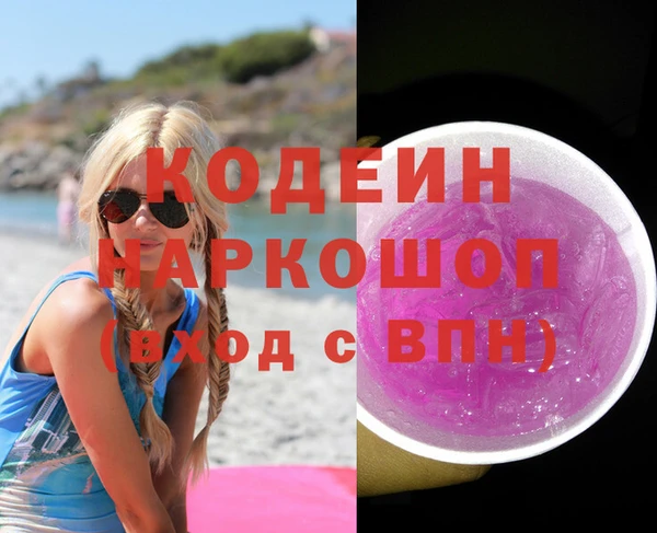 хмурый Каменка