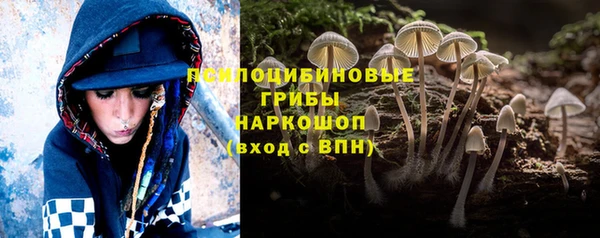 хмурый Каменка
