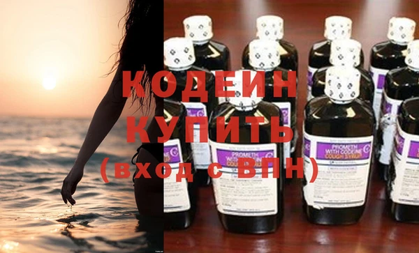 хмурый Каменка