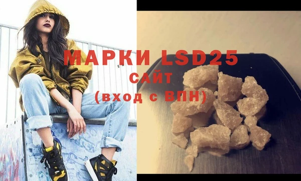 хмурый Каменка