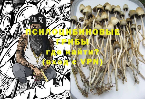 хмурый Каменка