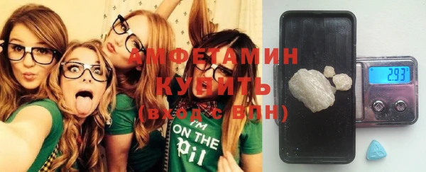 хмурый Каменка