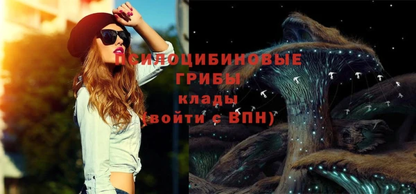 хмурый Каменка
