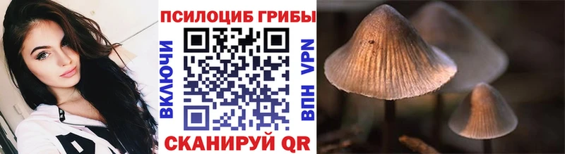 Купить где  Краснообск  Псилоцибиновые грибы Magic Shrooms 